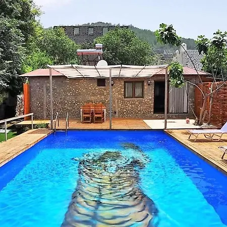 Vita Villa